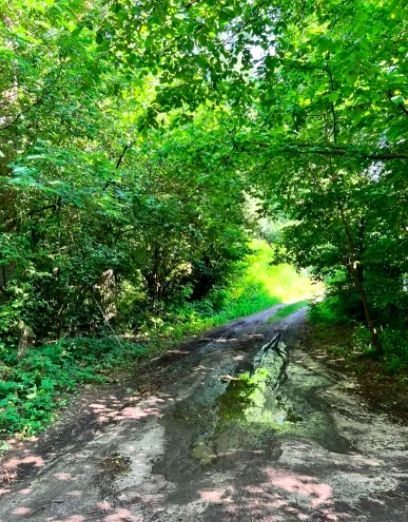 Działka budowlana Borzymów. Zdjęcie 3