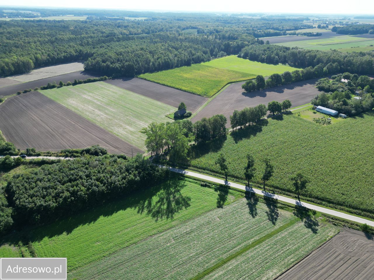 Działka budowlana Podrogów. Zdjęcie 6