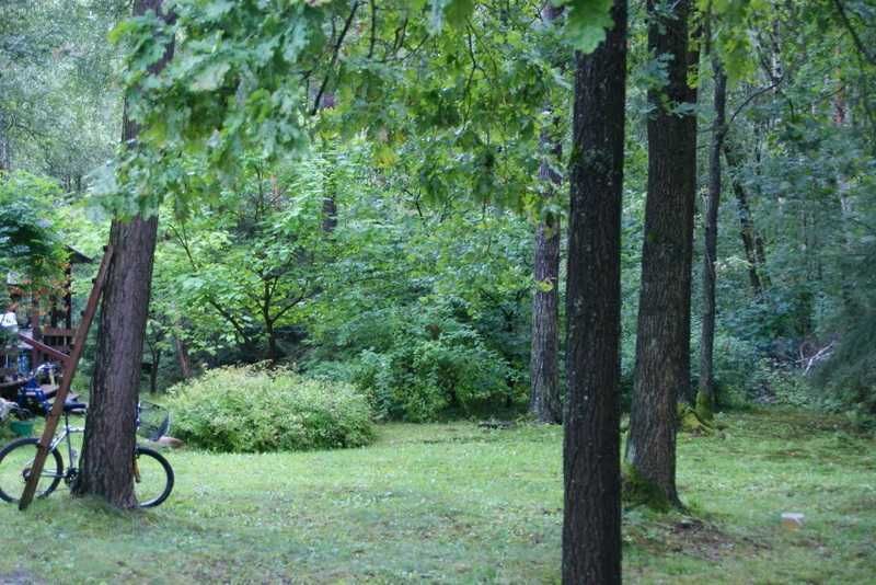 Działka rekreacyjna Rogóźno. Zdjęcie 2
