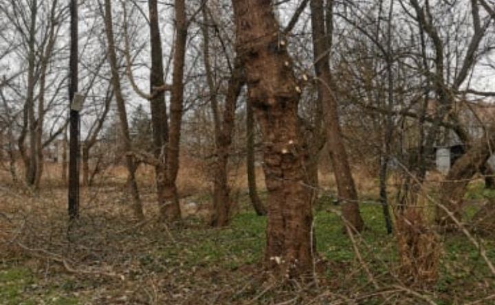 Działka budowlana Teodorów. Zdjęcie 5