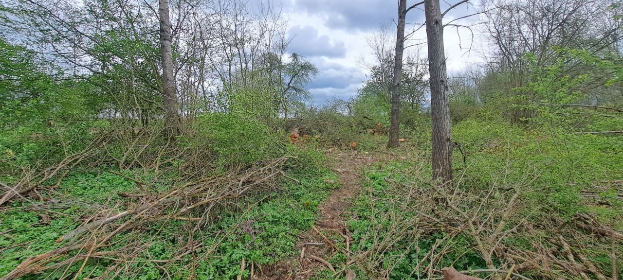 Działka budowlana Kołomąć. Zdjęcie 2
