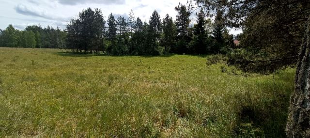 Działka rolno-budowlana Maruny. Zdjęcie 1