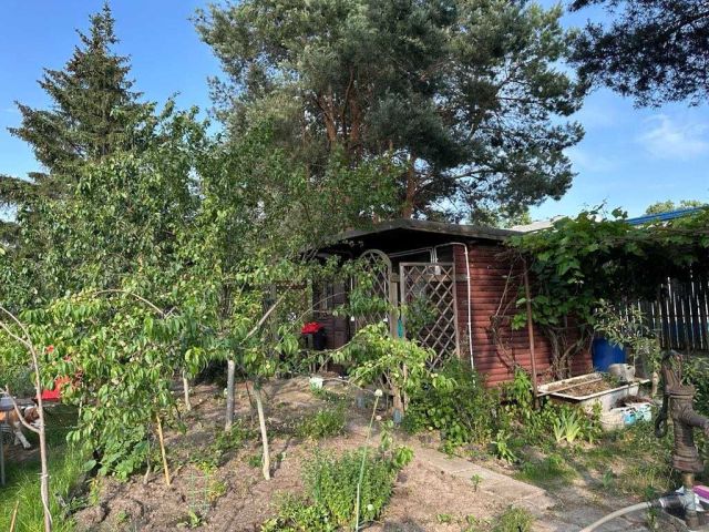 Działka rekreacyjna Warszawa Wawer. Zdjęcie 1