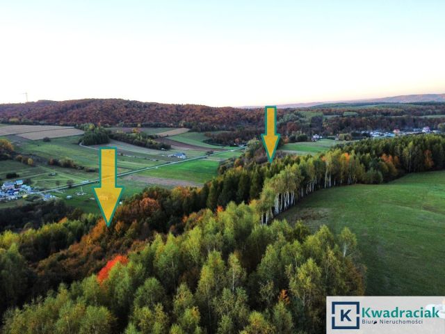 Działka leśna Wolica. Zdjęcie 4