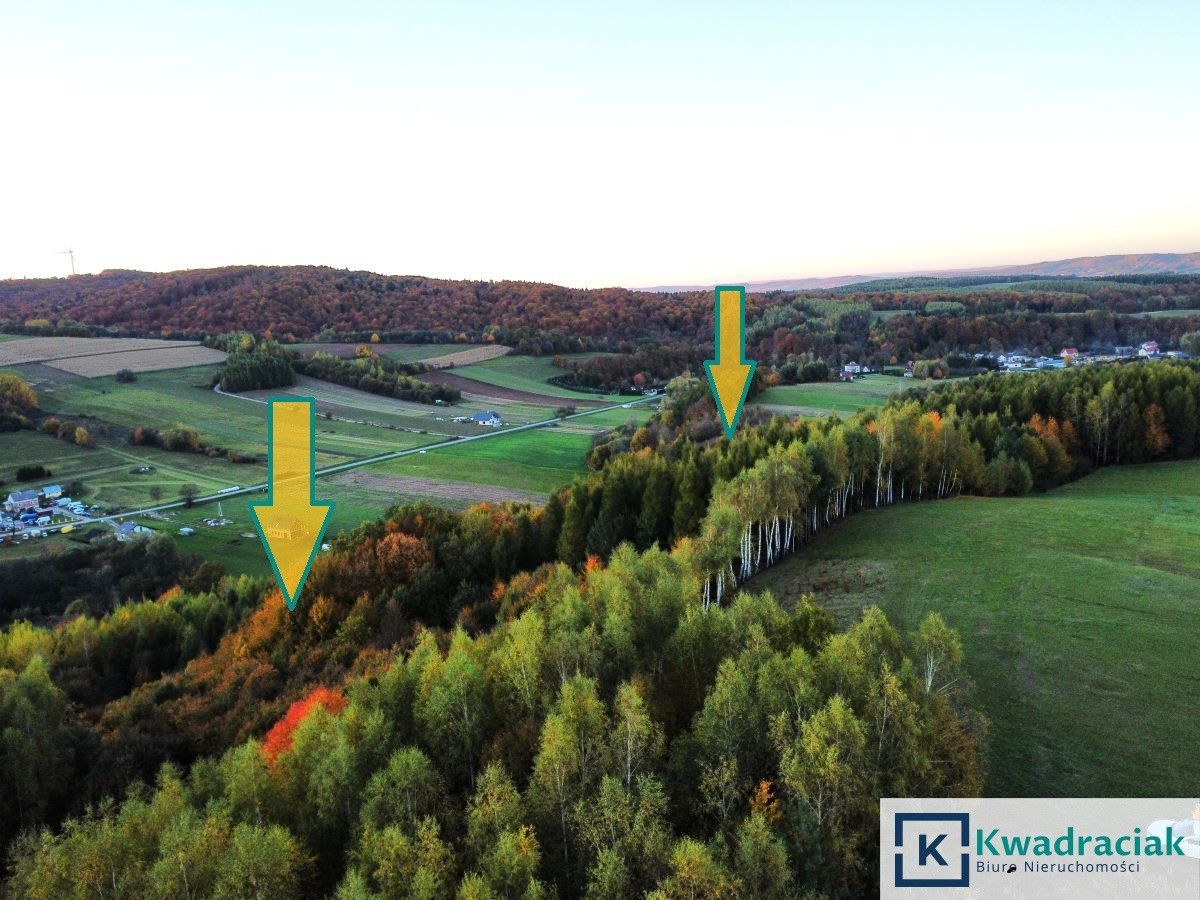 Działka leśna Wolica. Zdjęcie 4