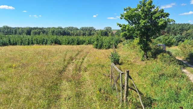 Działka budowlana Steklinko. Zdjęcie 1