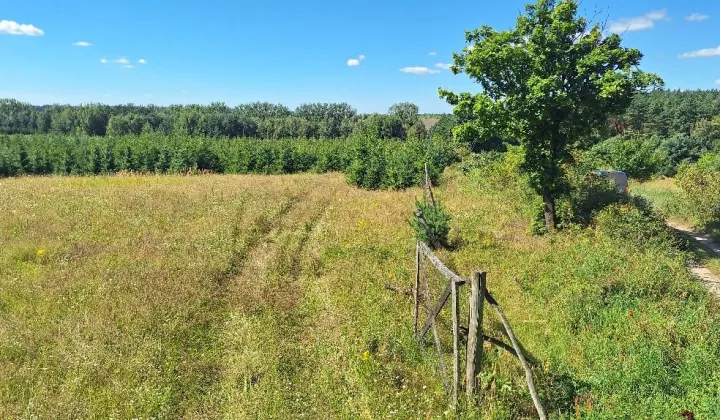 Działka budowlana Steklinko