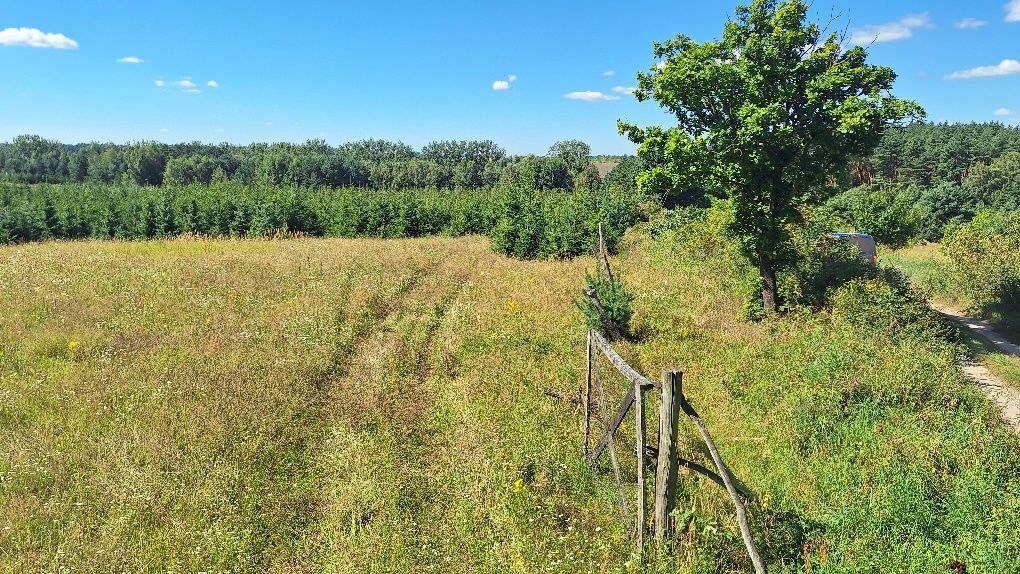 Działka budowlana Steklinko. Zdjęcie 1