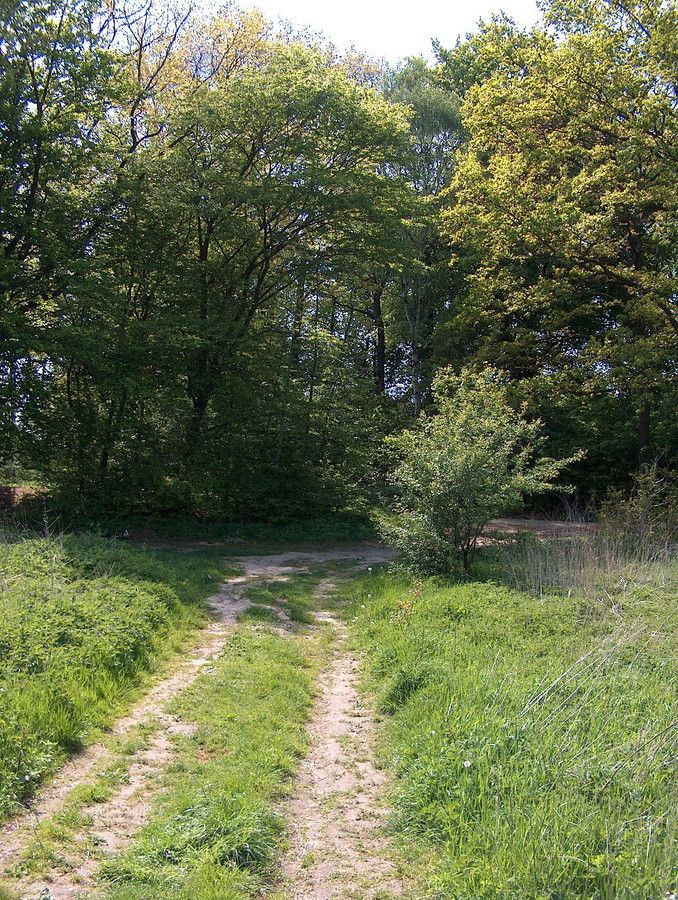Działka budowlana Włynkówko, ul. Aleja nad Rzeką. Zdjęcie 18