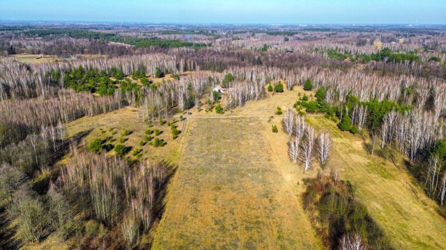Działka rolna Stare Budy Radziejowskie. Zdjęcie 3