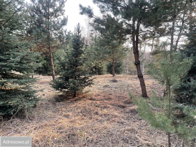 Działka budowlana Przykory. Zdjęcie 3