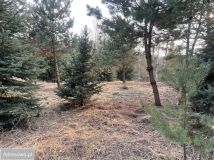 Działka budowlana Przykory. Zdjęcie 1