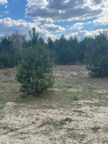 Działka rekreacyjna Stary Orzechów. Zdjęcie 1