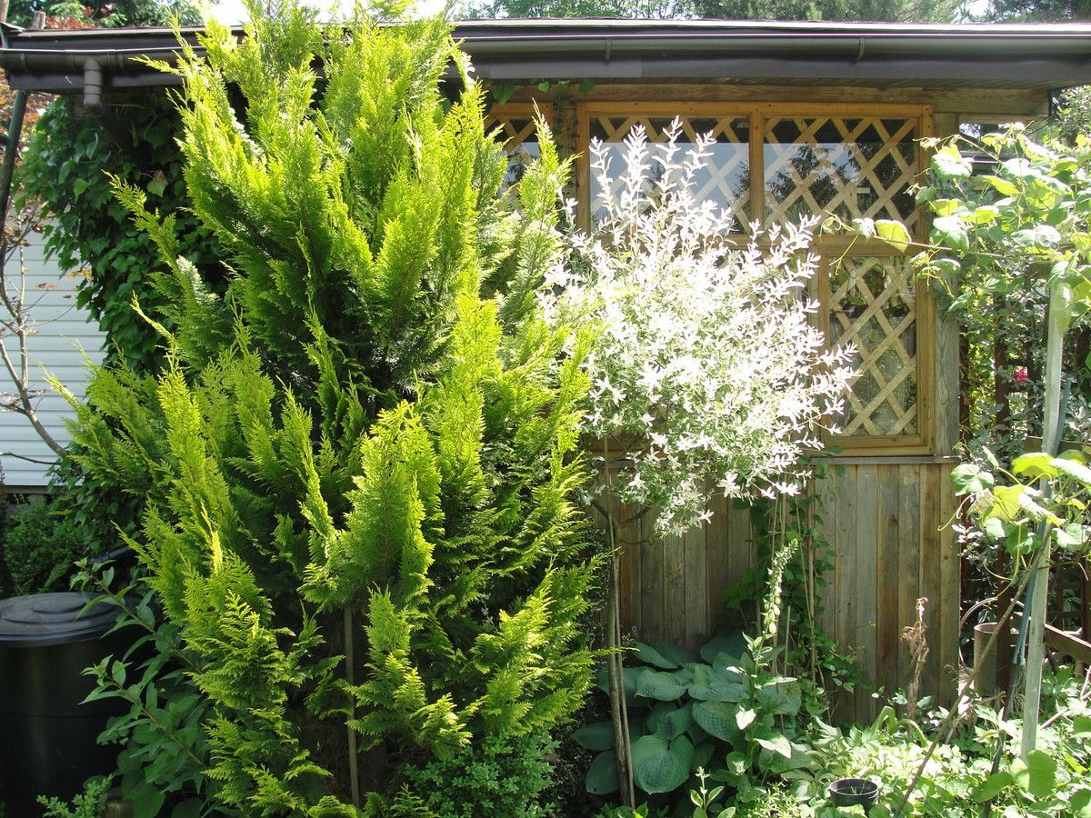 Działka budowlana Klimkówka. Zdjęcie 6