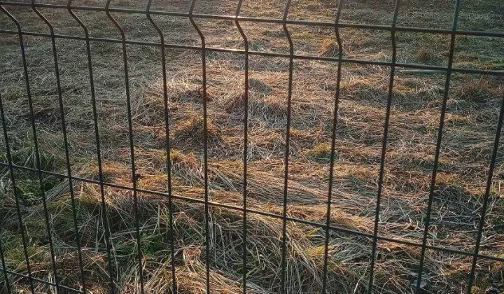 Działka budowlana Kotowa Wola