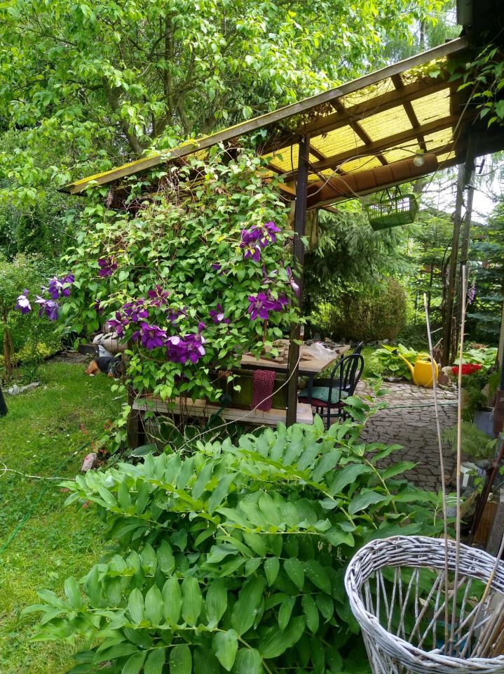 Działka rekreacyjna Piotrków Trybunalski, ul. Gęsia. Zdjęcie 1