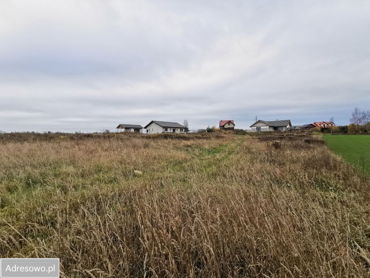 Działka rolno-budowlana Dankowo. Zdjęcie 6
