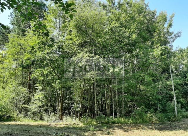 Działka budowlana Kady. Zdjęcie 2