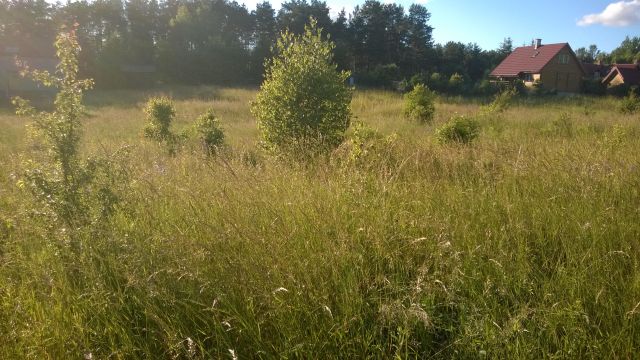 Działka budowlana Pluski, ul. Polna. Zdjęcie 16