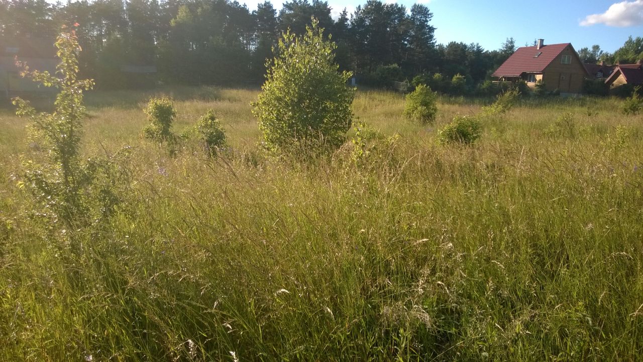 Działka budowlana Pluski, ul. Polna. Zdjęcie 16