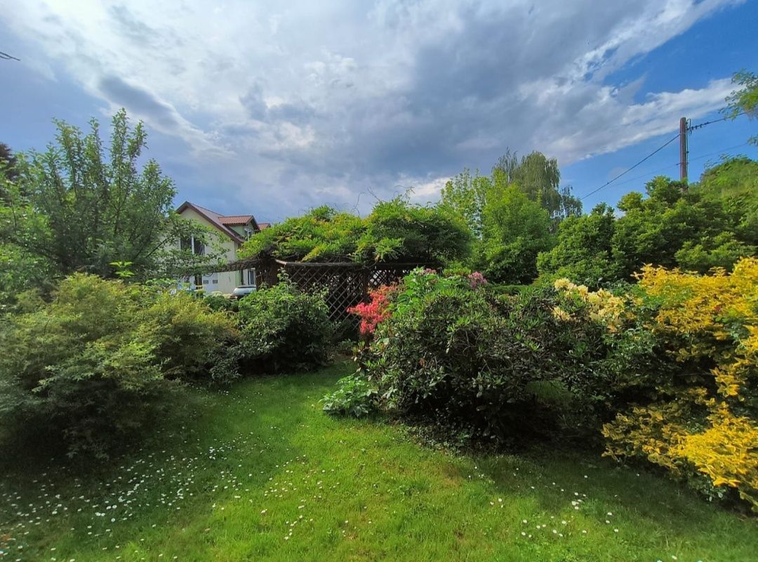 dom wolnostojący Otmuchów, ul. Matejki. Zdjęcie 4