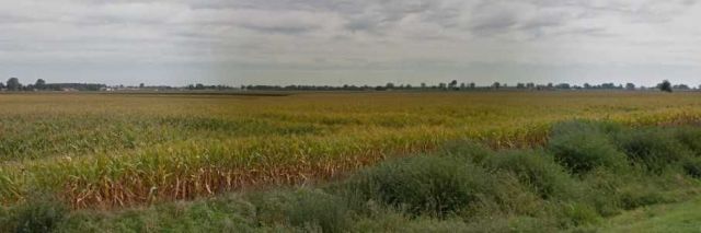 Działka rolna Turzno. Zdjęcie 1