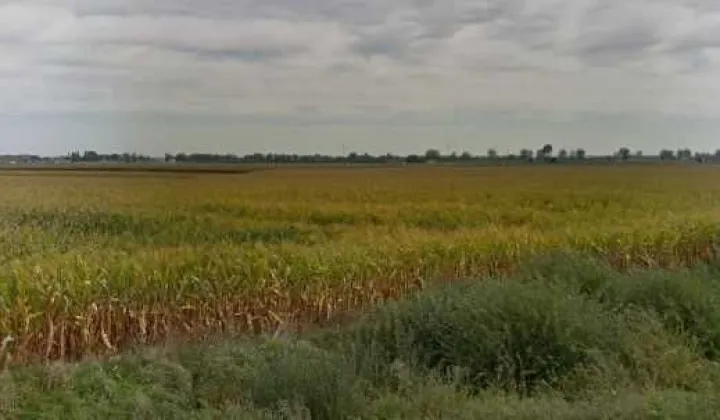 Działka rolna Turzno