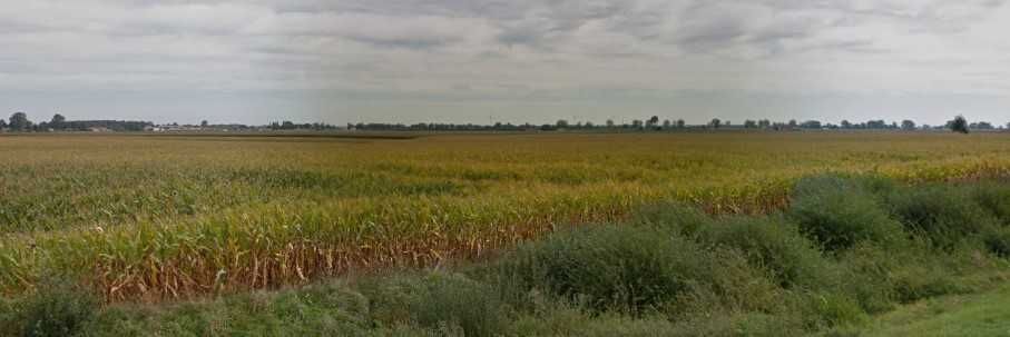 Działka rolna Turzno. Zdjęcie 1