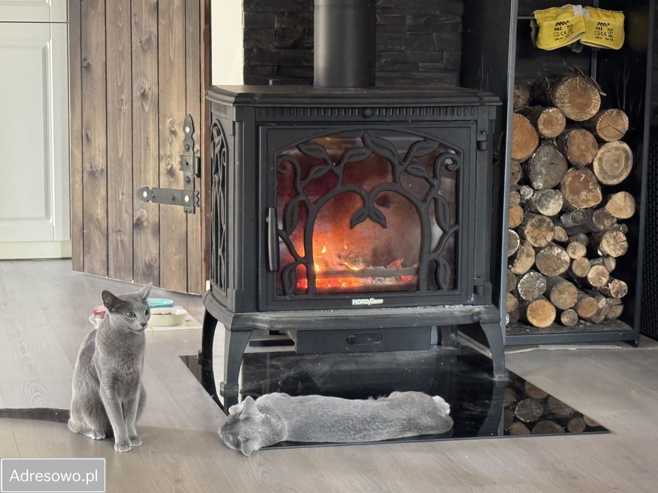 dom wolnostojący, 3 pokoje Częstocin. Zdjęcie 6