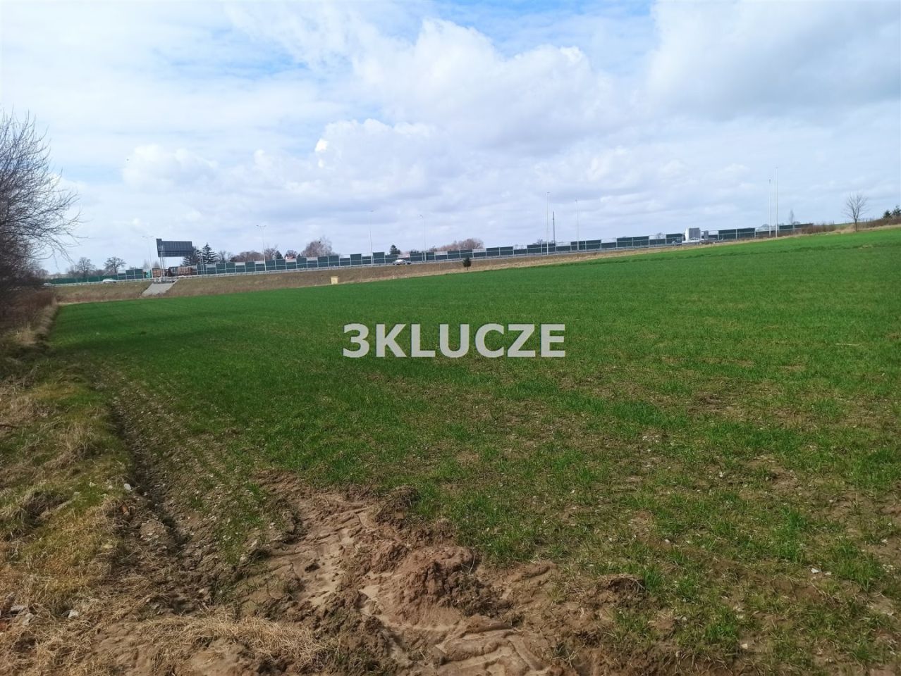 Działka rolna Dąbrowica. Zdjęcie 7