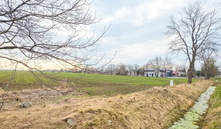 Działka rolna Cisy, Cisy