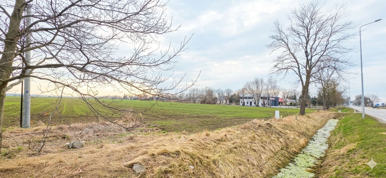 Działka rolna Cisy, Cisy. Zdjęcie 1