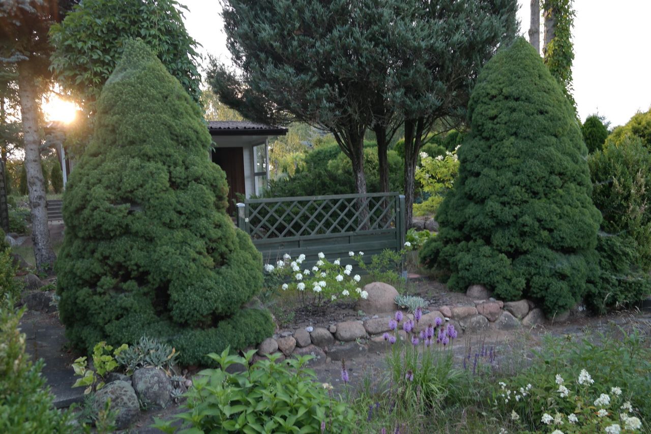 Działka rod Niewodnica Kościelna, ul. Działkowców. Zdjęcie 51