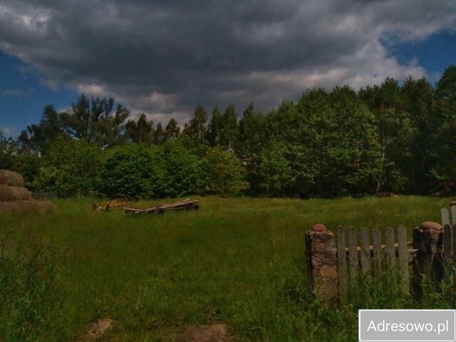 Działka budowlana Zdory. Zdjęcie 2