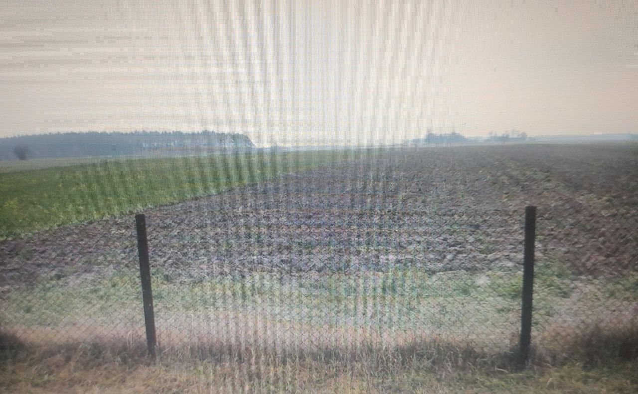 Działka rolno-budowlana Damiany. Zdjęcie 8