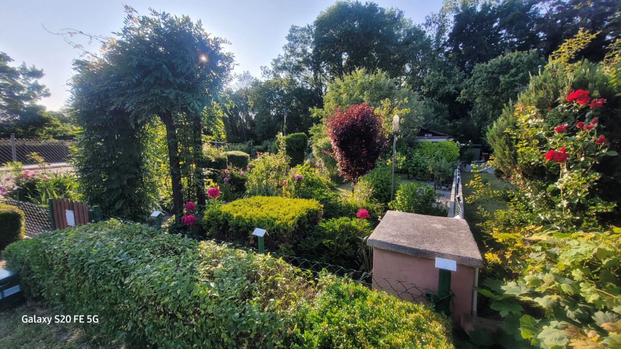 Działka rod Żary, ul. Pszenna. Zdjęcie 3