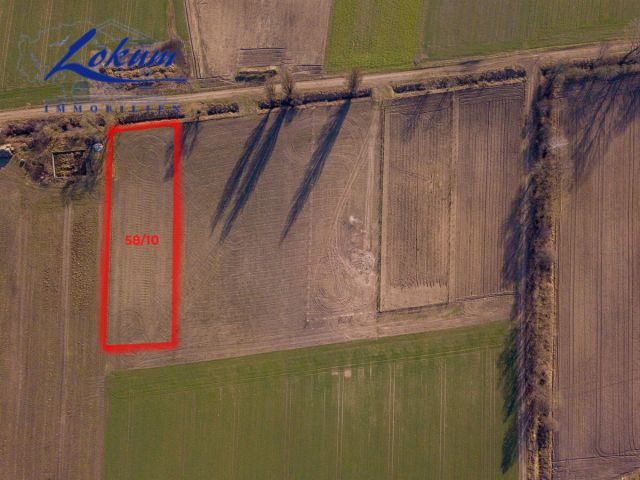 Działka siedliskowa Przybyszewo. Zdjęcie 2