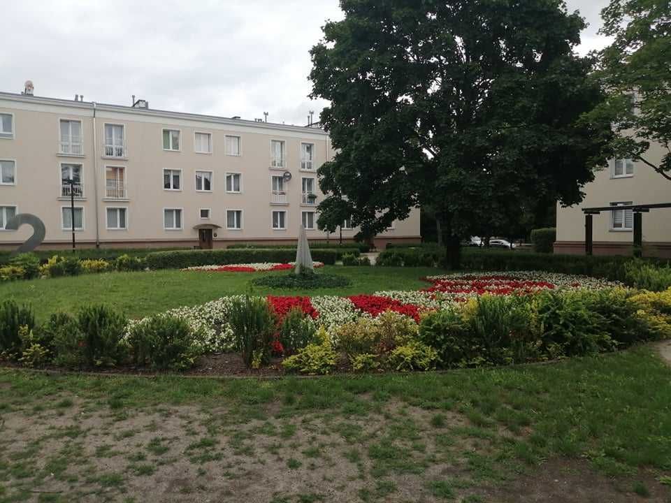 Mieszkanie 1-pokojowe Stalowa Wola, ul. Prymasa Stefana Wyszyńskiego. Zdjęcie 4