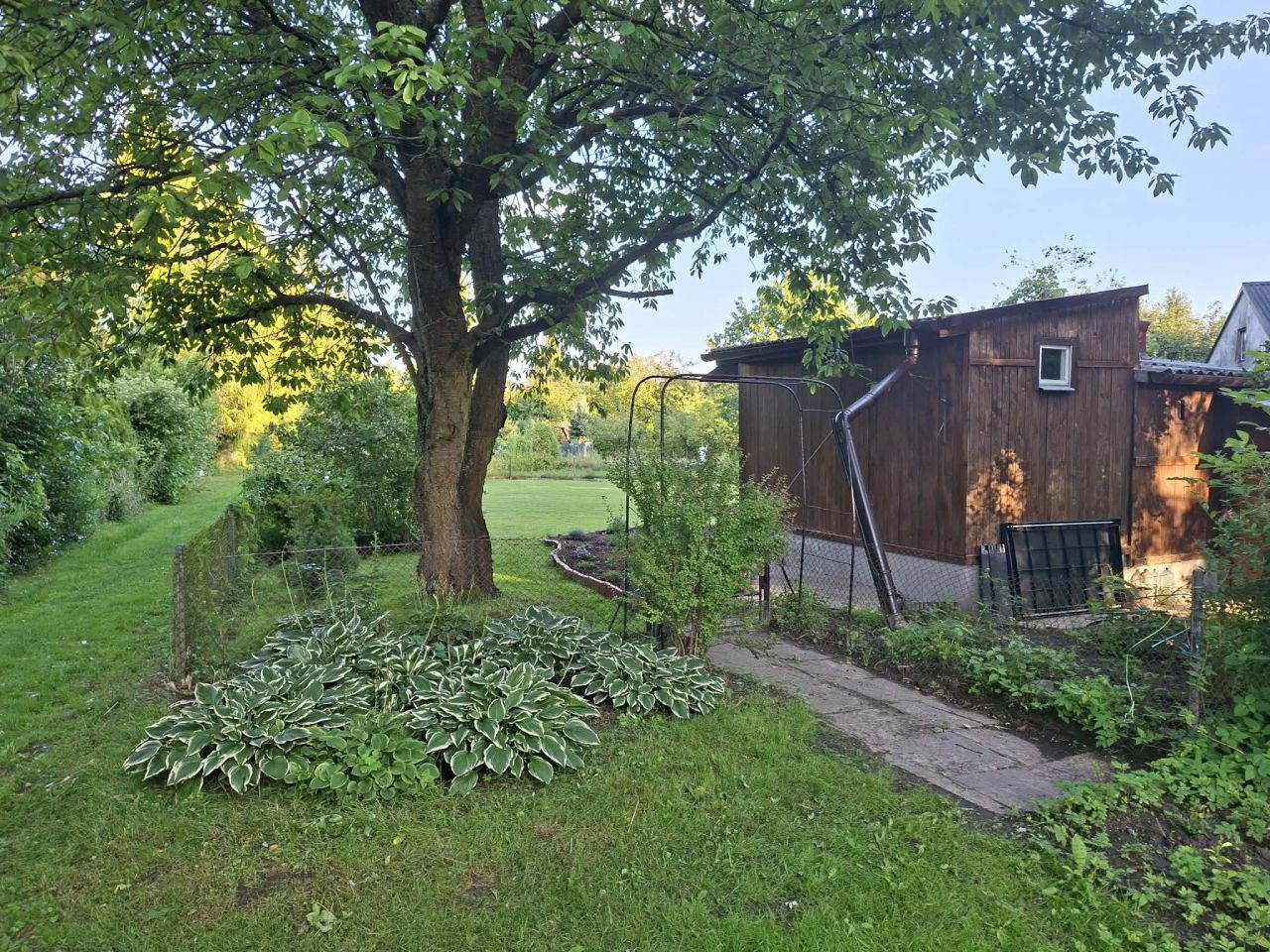 Działka rod Płock Radziwie. Zdjęcie 3