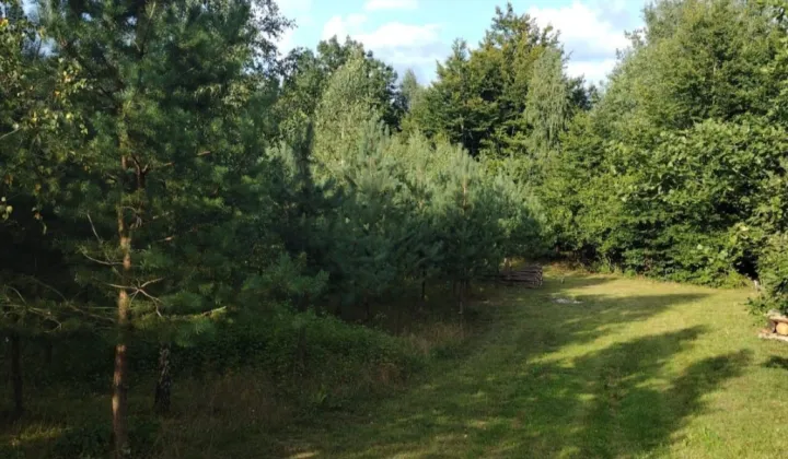 Działka rekreacyjna Grabówko, brak