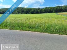 Działka rolno-budowlana Osiek nad Notecią. Zdjęcie 2