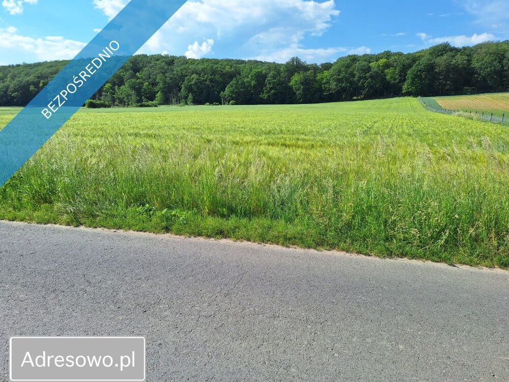 Działka rolno-budowlana Osiek nad Notecią. Zdjęcie 3