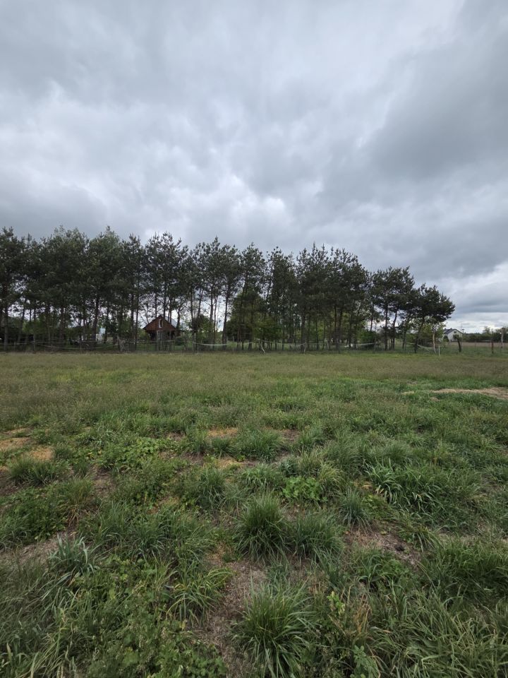 Działka rolna Dąbrówka