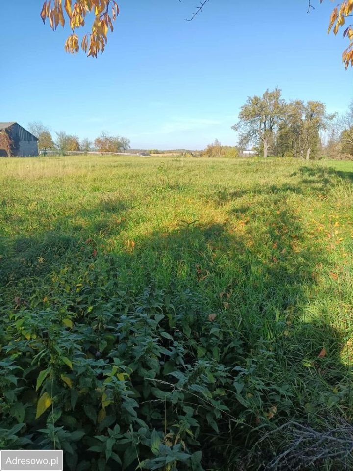 Działka budowlana Górna Wieś, ul. Orzechowa. Zdjęcie 2