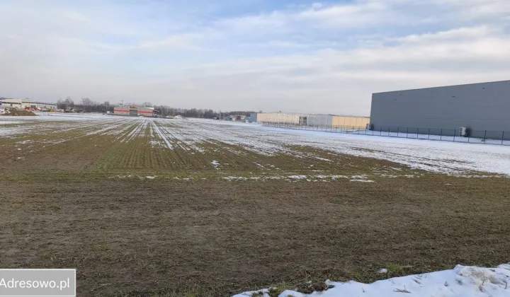 Działka inwestycyjna Wola Dębińska