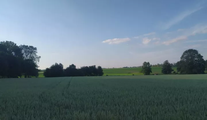 Działka rolna Starygród
