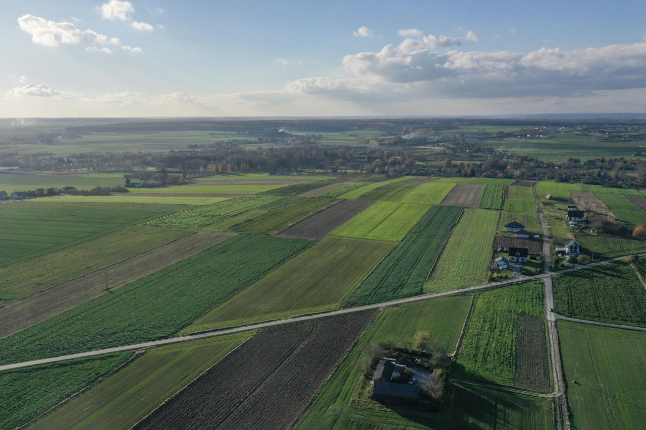 Działka budowlana Wierzchowiska Wierzchowiska Pierwsze. Zdjęcie 7