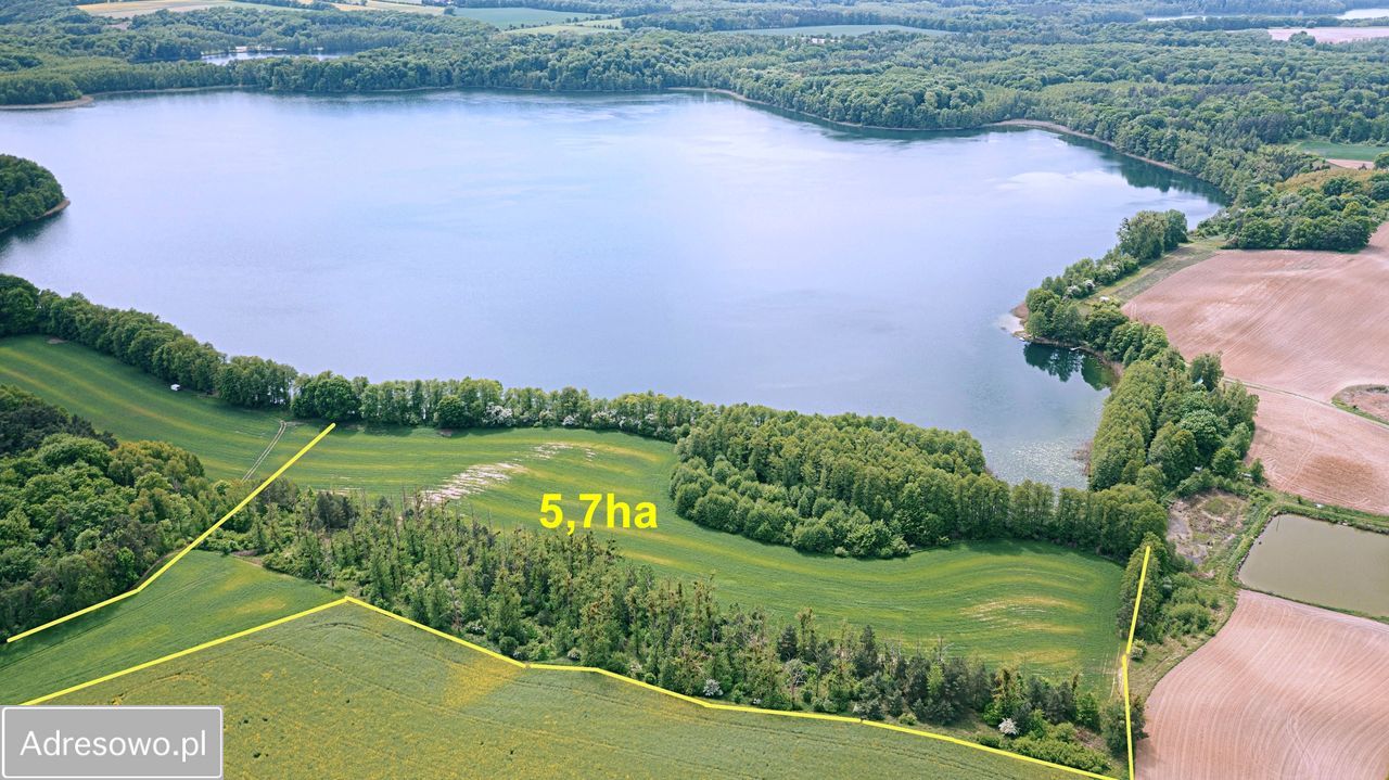 Działka siedliskowa Sieraków. Zdjęcie 4