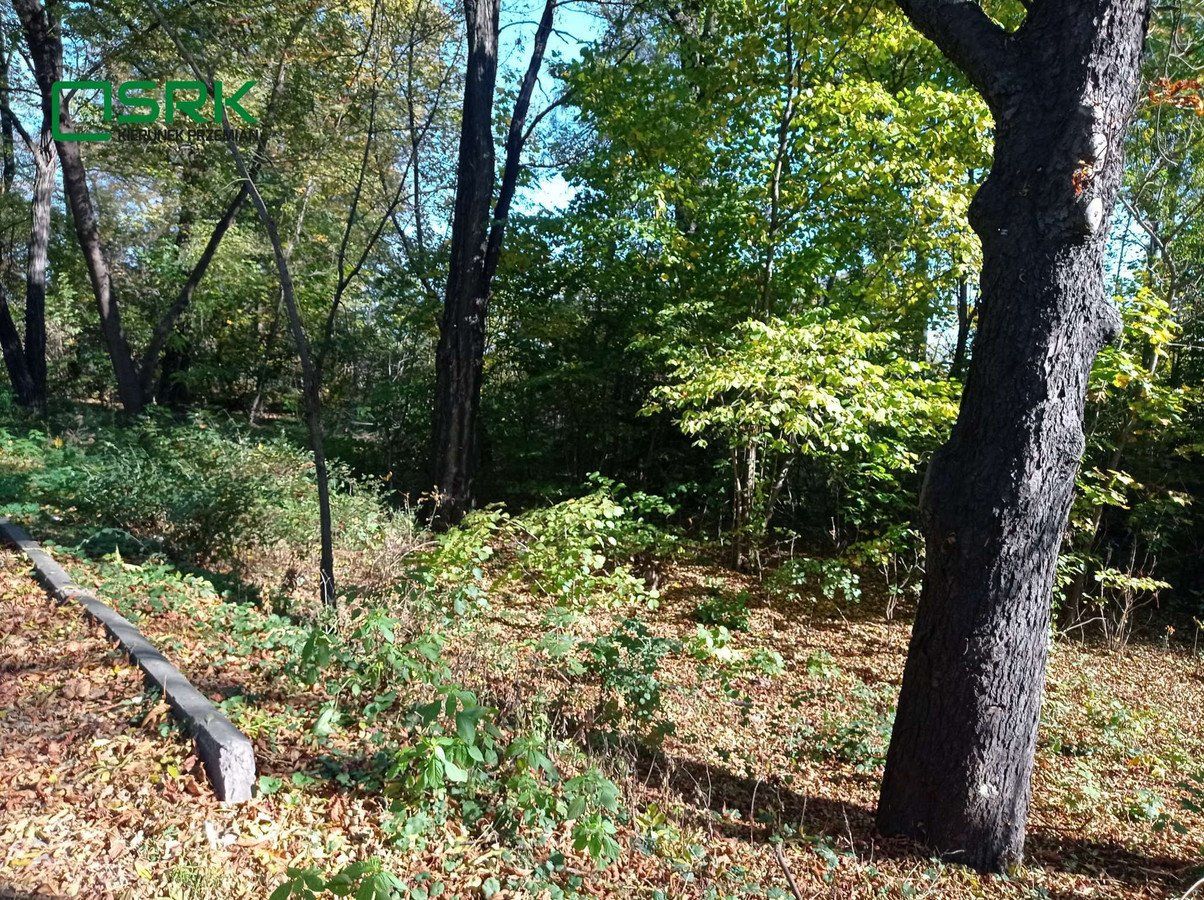 Działka inna Sosnowiec, ul. Konstantego Ildefonsa Gałczyńskiego. Zdjęcie 2