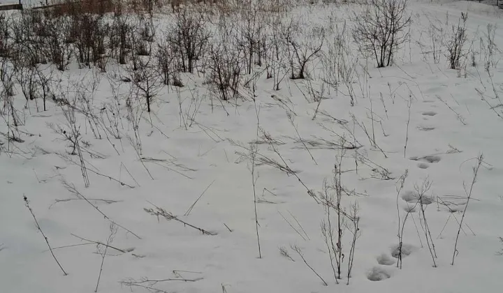 Działka budowlana Pogorzel